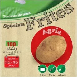 Agria 100 Plants De Pomme De Terre