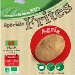 Agria Biologique 60 Plants De Pomme De Terre