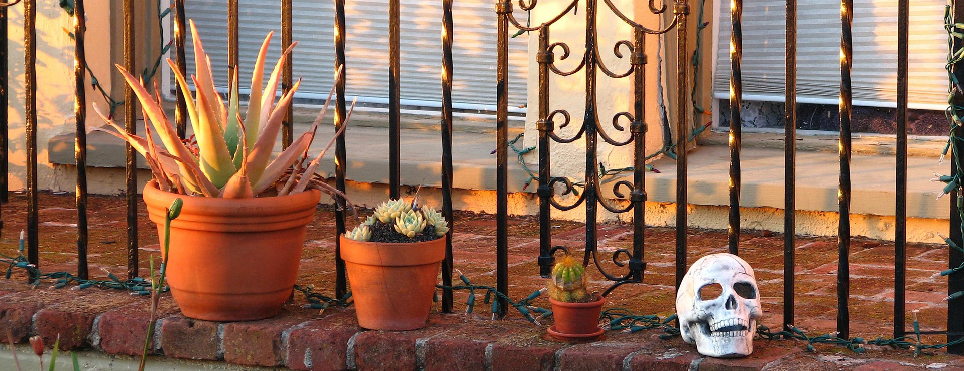 Devant -Jardin Et Extérieur balcony 6784570 1920