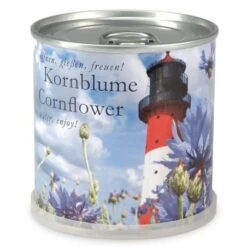 Bleuet à Faire Pousser En Boite