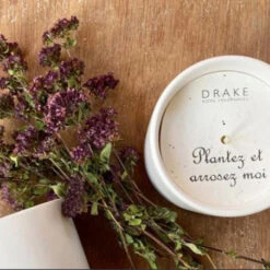 Drake Bougie Décorative Géranium Et Graines Origan 40h -Jardin Et Extérieur bougie 40h geranium et graines origan 5