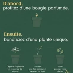 Drake Bougie 40h Vétiver Et Graines Basilic -Jardin Et Extérieur bougie 40h vetiver et graines basilic 3