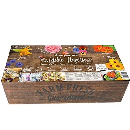 Carré De Potager Fleurs Comestibles 4 Carré De Potager Fleurs Comestibles – Image 2