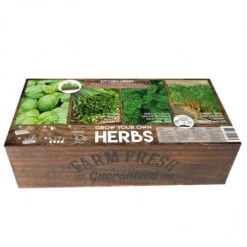 Carré De Potager Herbes De Cuisine -Jardin Et Extérieur carre de potager herbes de cuisine 1