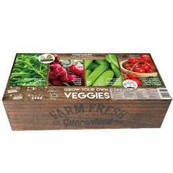 Carré De Potager Légumes Avec Mini Serres -Jardin Et Extérieur carre de potager legumes avec mini serres 1