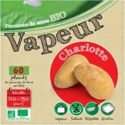 Charlotte Biologique 60 Plants De Pomme De Terre
