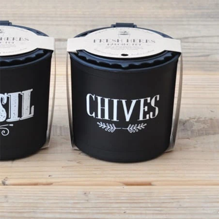 Ciboulette Pot Suspendu 3 Ciboulette Pot Suspendu