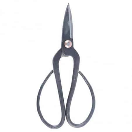 ESSCHERT DESIGN Ciseaux Bonsaï Et Végétaux Coupe Nette 4 ESSCHERT DESIGN Ciseaux Bonsaï Et Végétaux Coupe Nette – Image 2