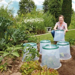 Cloche De Culture Sunny Avec 2 Piquets 12 Cloche De Culture Sunny Avec 2 Piquets -Jardin Et Extérieur cloche de culture sunny avec 2 piquets 4