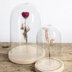 ESSCHERT DESIGN Cloche Verre Deco Jardinage Avec Pince 31cm -Jardin Et Extérieur cloche en verre avec pince 31cm 2