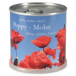 Coquelicots à Faire Pousser En Boite -Jardin Et Extérieur coquelicots a faire pousser en boite 1