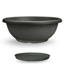 Coupe De Fleurs Naxos 50cm Avec Soucoupe