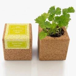 Pret A Pousser Coriandre Cube En Liège Aimanté 7,5cm -Jardin Et Extérieur cube aimante coriandre pret a pousser 3