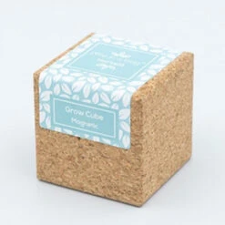 Cube Aimanté En Liège Avec Menthe Prête à Pousser -Jardin Et Extérieur cube aimante menthe pret a pousser 1