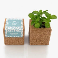 Cube Aimanté En Liège Avec Menthe Prête à Pousser -Jardin Et Extérieur cube aimante menthe pret a pousser 2