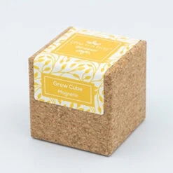 Cube Déco Aimanté Avec Tournesol Prêt à Pousser -Jardin Et Extérieur cube aimante tournesol pret a pousser 1