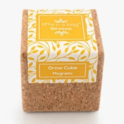Cube Déco Aimanté Avec Tournesol Prêt à Pousser -Jardin Et Extérieur cube aimante tournesol pret a pousser 3