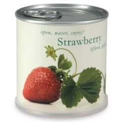 Fraises à Faire Pousser En Boite -Jardin Et Extérieur fraises a faire pousser en boite 1