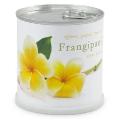 Frangipanier à Faire Pousser En Boite -Jardin Et Extérieur frangipanier a faire pousser en boite 1