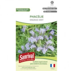 Graines Phacélie Engrais Vert