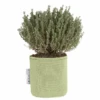 Grand Pot De Plantation Respirant 40 Cm Vert