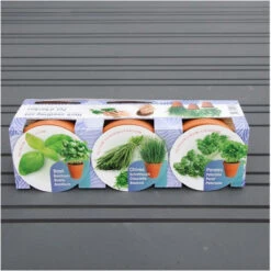 Herbes Aromatiques Et Pots En Terre Cuite -Jardin Et Extérieur herbes aromatiques et pots en terre cuite 5