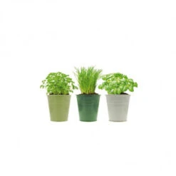 Pot Herbes Aromatiques Cuisine Par 3 -Jardin Et Extérieur kit aromatique seau zinc 1