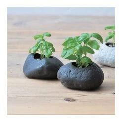 Kit Basilic Pot En Pierre -Jardin Et Extérieur kit basilic en pierre 1