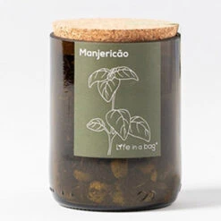 Kit Bouteille Prêt à Pousser Basilic 7 Kit Bouteille Prêt à Pousser Basilic -Jardin Et Extérieur kit bouteille pret a pousser basilic 1