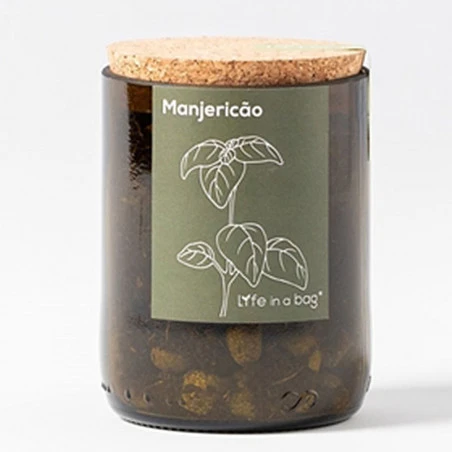 Kit Bouteille Prêt à Pousser Basilic 3 Kit Bouteille Prêt à Pousser Basilic