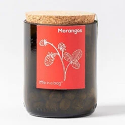 Kit Bouteille Prêt à Pousser Fraises 7 Kit Bouteille Prêt à Pousser Fraises -Jardin Et Extérieur kit bouteille pret a pousser fraises 1