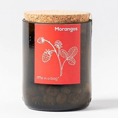 Kit Bouteille Prêt à Pousser Fraises 3 Kit Bouteille Prêt à Pousser Fraises