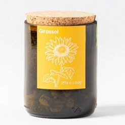 Kit Bouteille Prêt à Pousser Tournesol -Jardin Et Extérieur kit bouteille pret a pousser tournesol 1