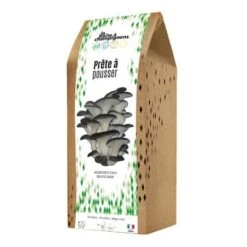 Kit Champignons à Faire Pousser En Boite - Pleurotes Gris -Jardin Et Extérieur kit champignons a faire pousser en boite pleurotes gris 1
