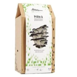 Kit Champignons En Boite 4 Personnes - Pleurotes Gris -Jardin Et Extérieur kit champignons en boite 4 personnes pleurotes gris 1