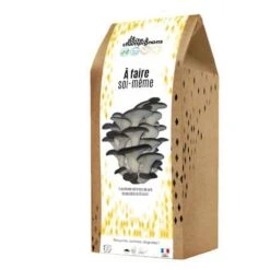 Kit Champignons En Boite à Faire Soi-même -Jardin Et Extérieur kit champignons en boite a faire soi meme 1