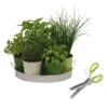 Kit Herbes Aromatiques En Cuisine -Jardin Et Extérieur kit herbes aromatiques en cuisine