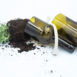 Kit Irrigation Basilic Prêt à Pousser -Jardin Et Extérieur kit irrigation basilic pret a pousser 3