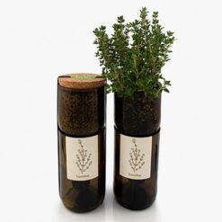 Kit Irrigation Thym Prêt à Pousser 9 Kit Irrigation Thym Prêt à Pousser -Jardin Et Extérieur kit irrigation thym pret a pousser 1