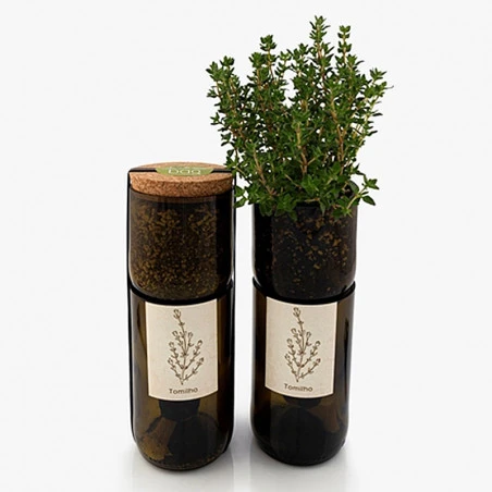 Kit Irrigation Thym Prêt à Pousser 4 Kit Irrigation Thym Prêt à Pousser – Image 2