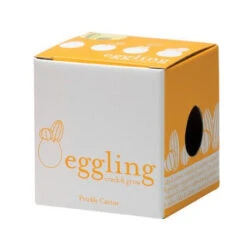 Kit Oeuf Cactus Prêt à Pousser -Jardin Et Extérieur kit oeuf cactus pret a pousser 5