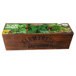 Kit Prêt à Pousser - Herbes à Soupes -Jardin Et Extérieur kit pret a pousser herbes a soupes 1
