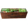 Kit Prêt à Pousser - Herbes De Cuisine Italiennes -Jardin Et Extérieur kit pret a pousser herbes de cuisine italiennes
