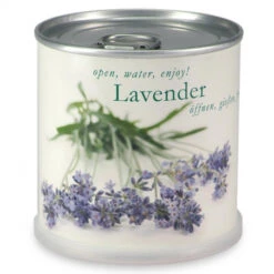 Lavande à Faire Pousser En Boite -Jardin Et Extérieur lavande a faire pousser en boite 1