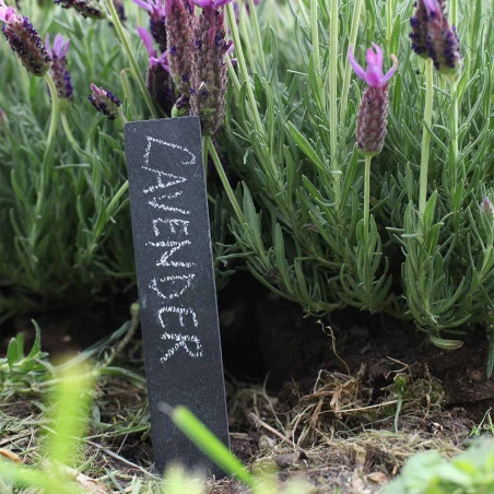 ESSCHERT DESIGN Lot De 6 étiquettes En Ardoise 9 ESSCHERT DESIGN Lot De 6 étiquettes En Ardoise – Image 7