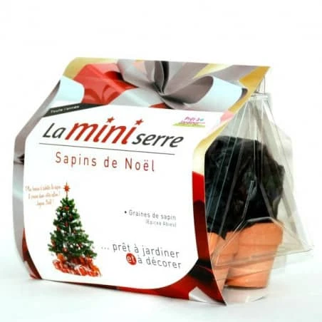 Mini Serre 6 Pots Sapins De Noël 3 Mini Serre 6 Pots Sapins De Noël