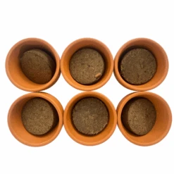 Mini Serre Herbes Aromatiques -Jardin Et Extérieur mini serre herbes aromatiques 3