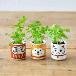 Mug Kit à Pousser Basilic -Jardin Et Extérieur mug kit a pousser basilic 2