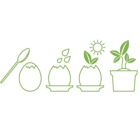 Oeuf Kit Basilic 5 Oeuf Kit Basilic – Image 3