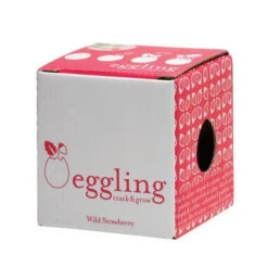 Oeuf Kit Fraise Des Bois -Jardin Et Extérieur oeuf kit fraise des bois 4